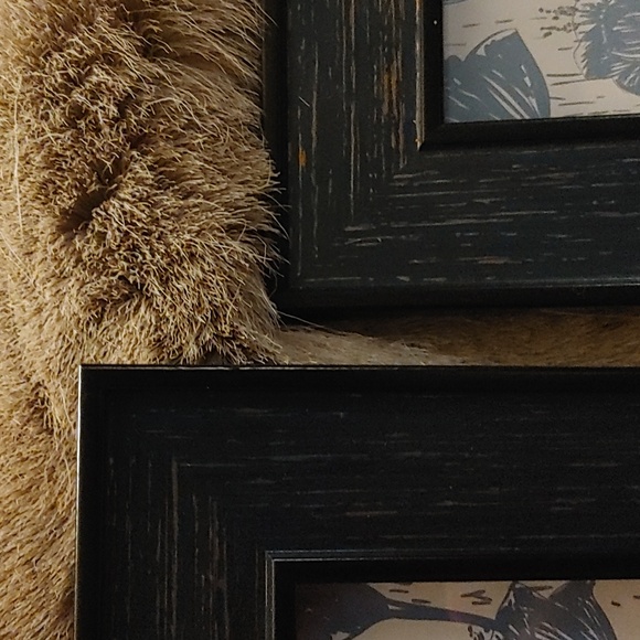 Isaac Jacobs Picture Frames - Picture 5 of 9